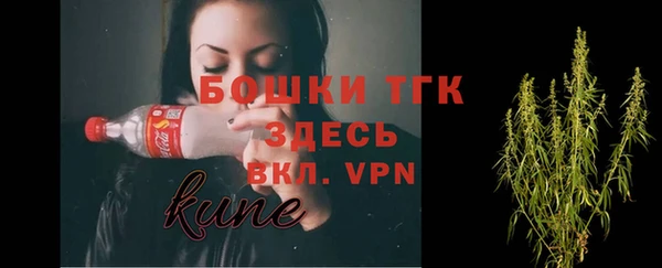 стафф Верхний Тагил