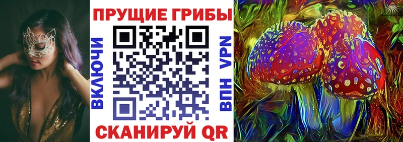где найти наркотики  ссылка на мегу зеркало  Галлюциногенные грибы мицелий  Гвардейск 